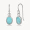 PRE ORDER Shipping from 5th November - Lee Amazonite Earring