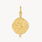 Leo Charm