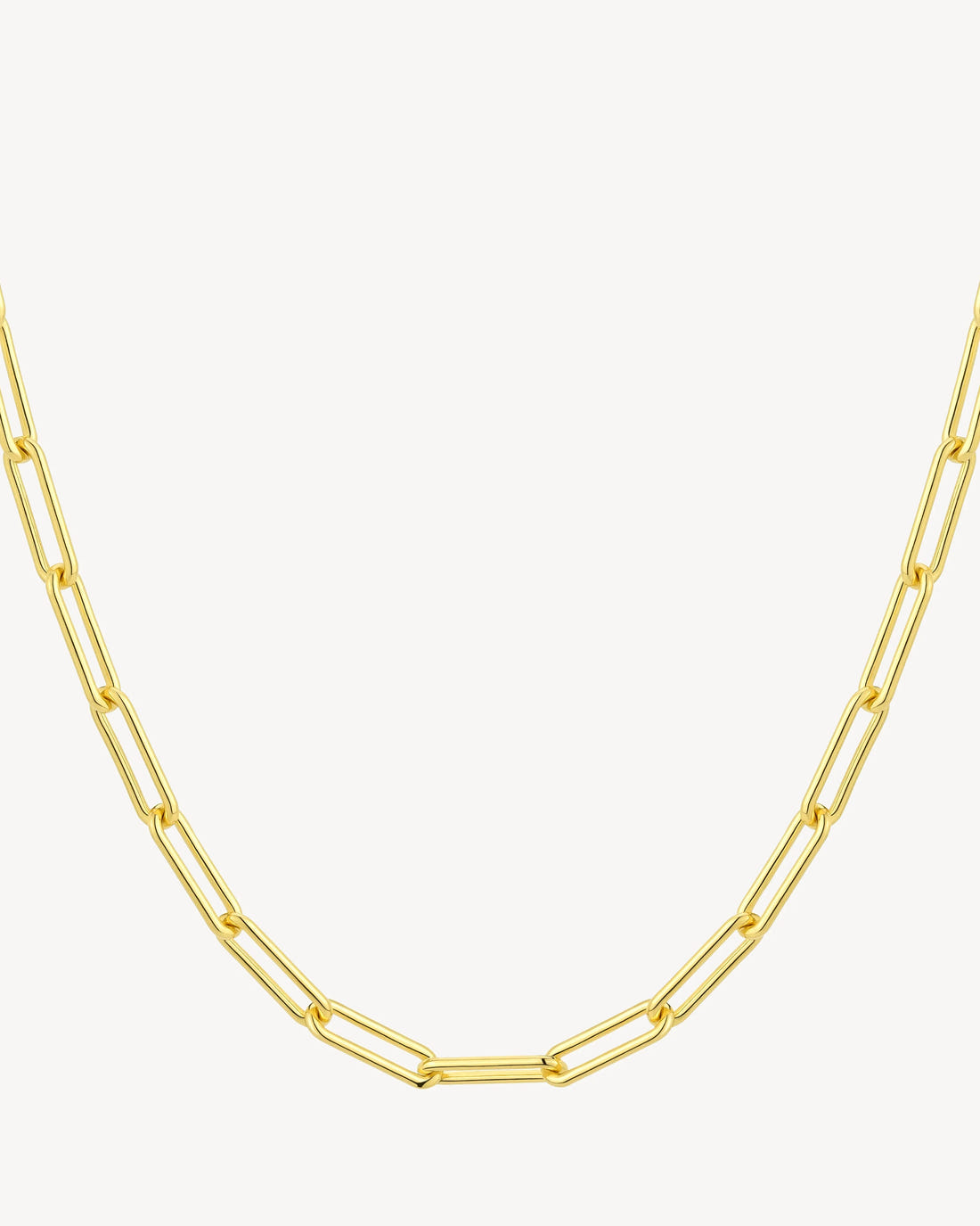 Paperclip Necklace