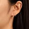 Oval Hoops