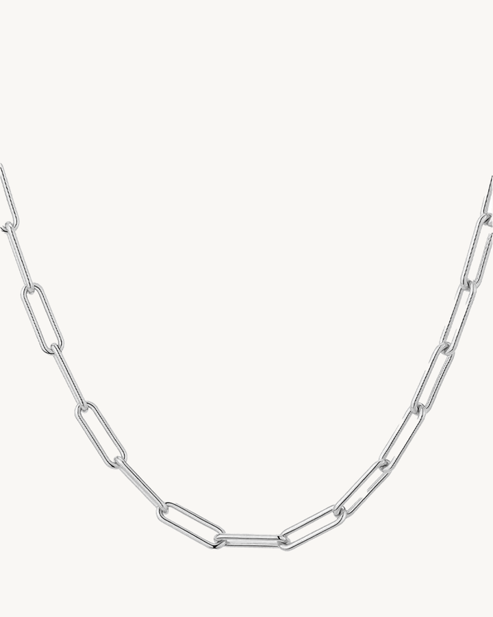 Paperclip Necklace